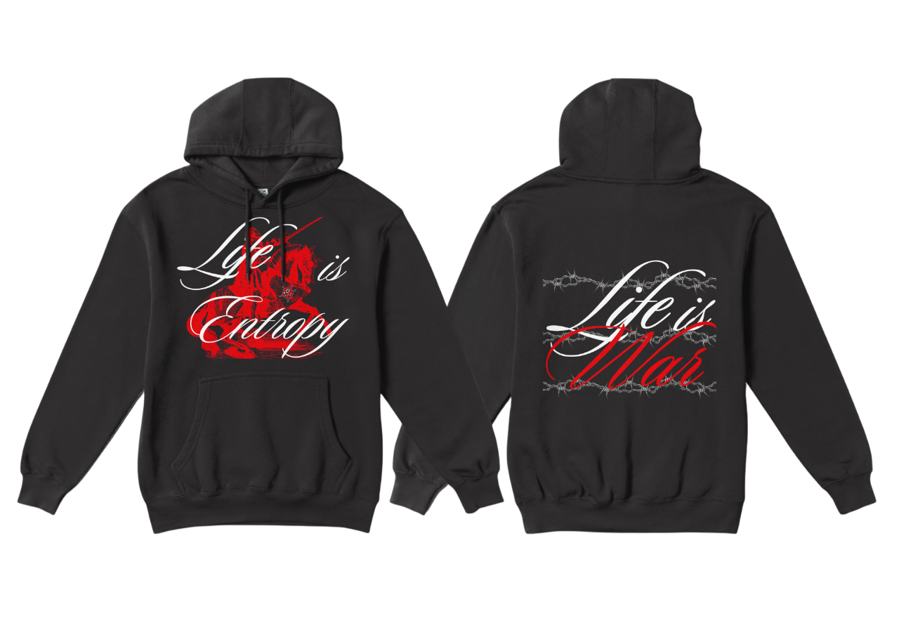 "Life is Entropy" Hoodie