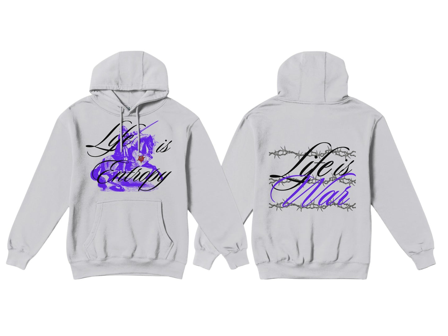 "Life is Entropy" Hoodie
